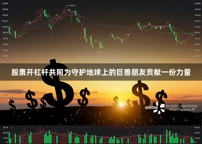 股票开杠杆共同为守护地球上的巨兽朋友贡献一份力量