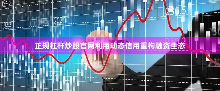 正规杠杆炒股官网利用动态信用重构融资生态