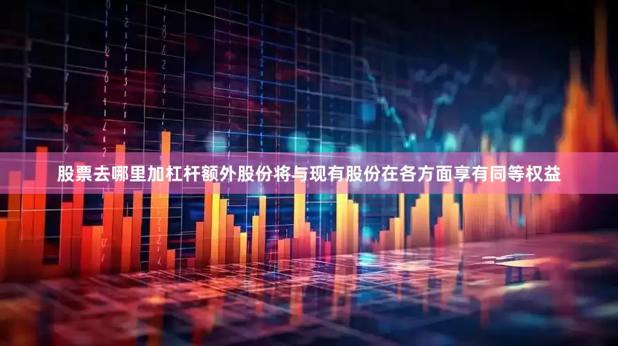 股票去哪里加杠杆额外股份将与现有股份在各方面享有同等权益