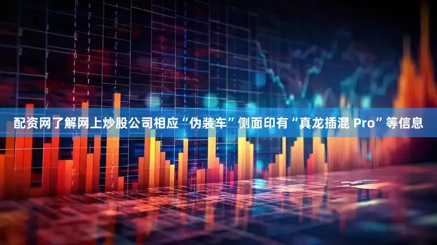 配资网了解网上炒股公司相应“伪装车”侧面印有“真龙插混 Pro”等信息