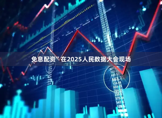 免息配资”在2025人民数据大会现场
