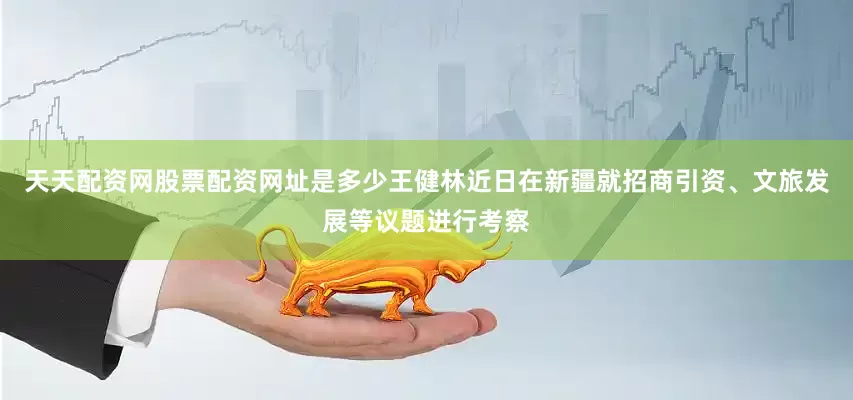 天天配资网股票配资网址是多少王健林近日在新疆就招商引资、文旅发展等议题进行考察